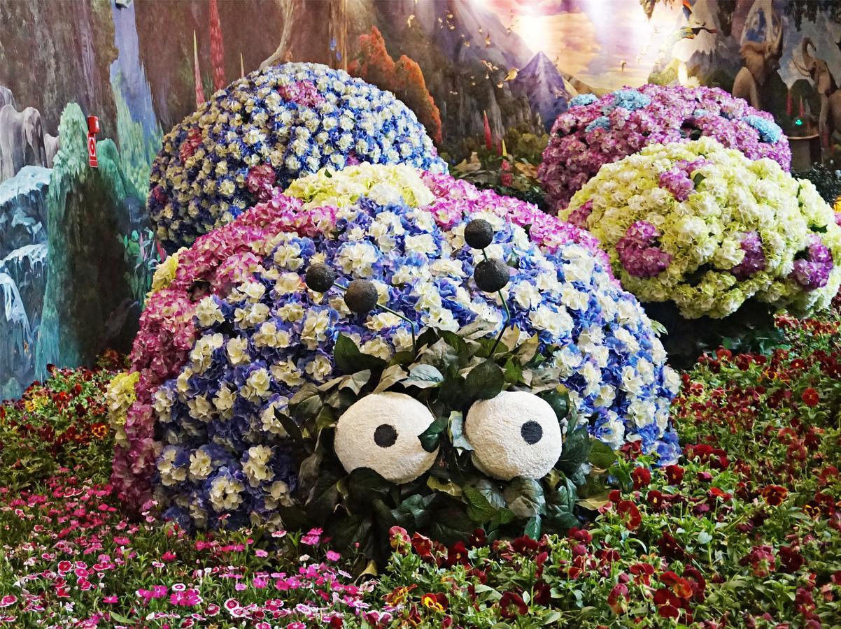 Howard Johnson Flower City Hotel Kunming Dış mekan fotoğraf